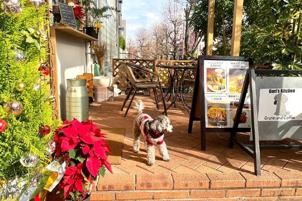 Guri’s Kitchen