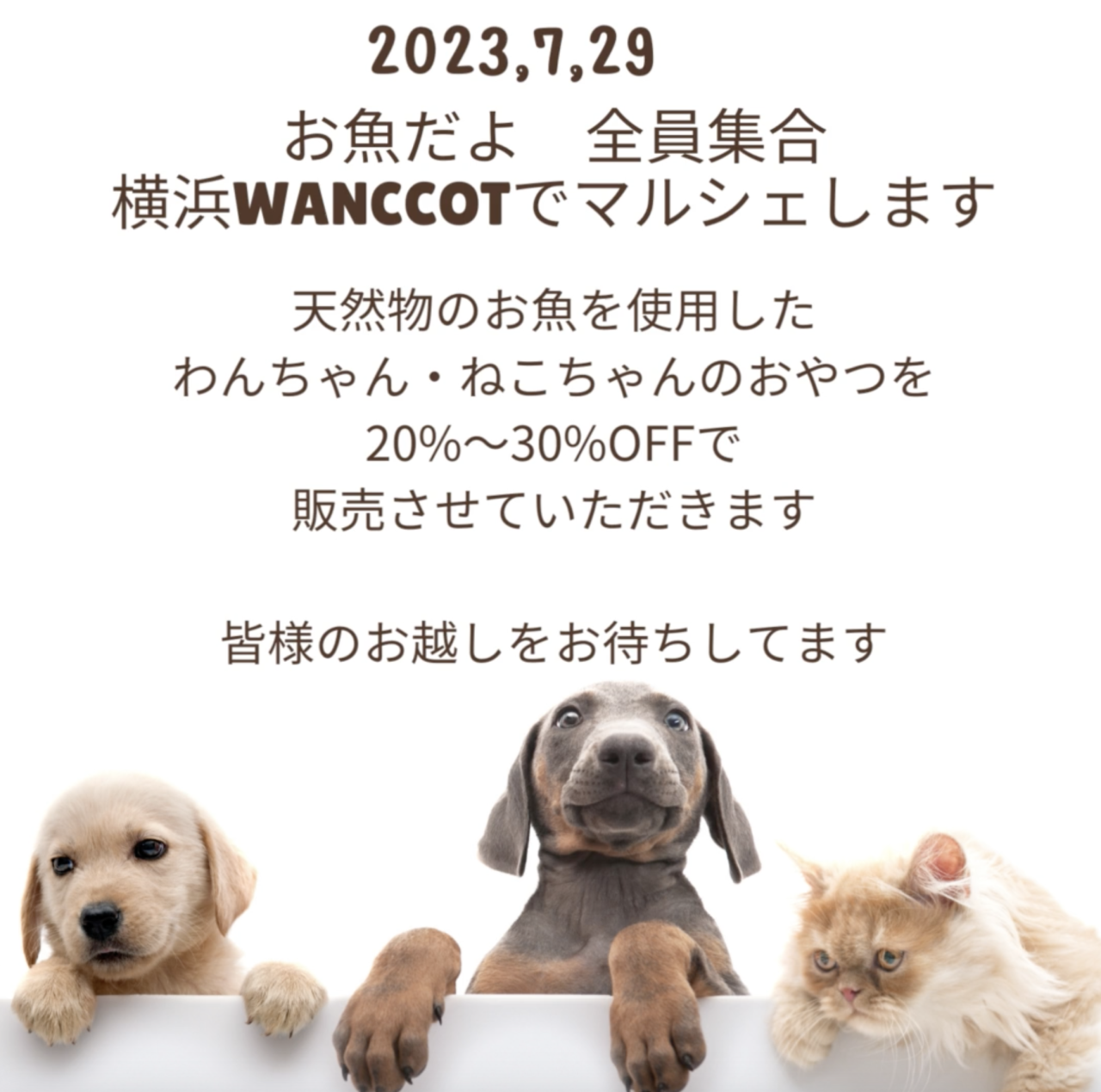 7月29日はWANCCOTさんで出店させていただきます