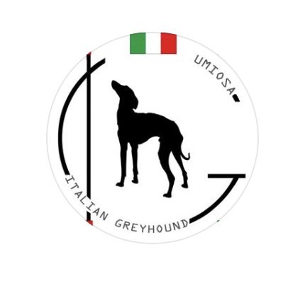 10月8日はUMIOSA
