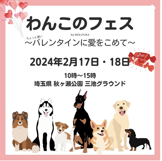 わんこのフェス