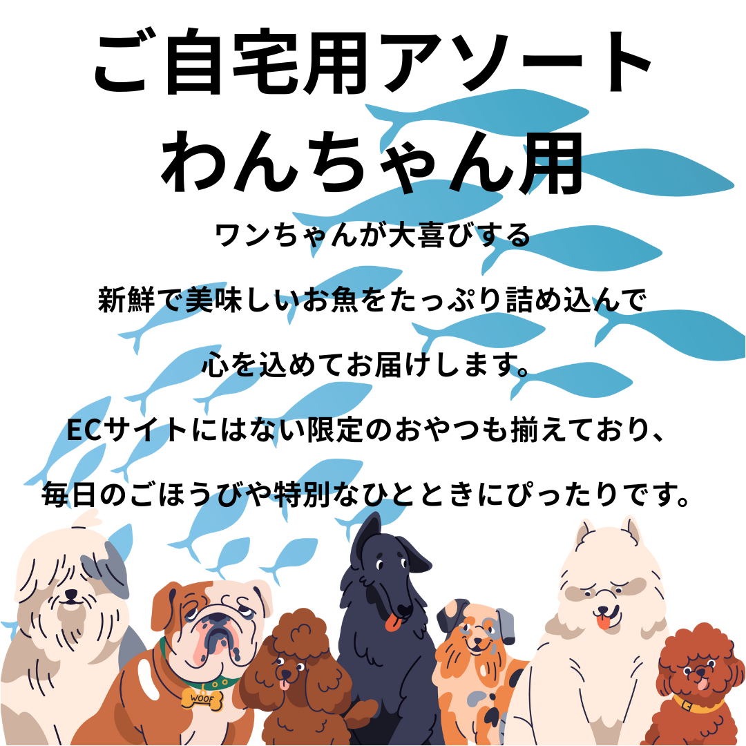 ご自宅用アソートわんちゃん用