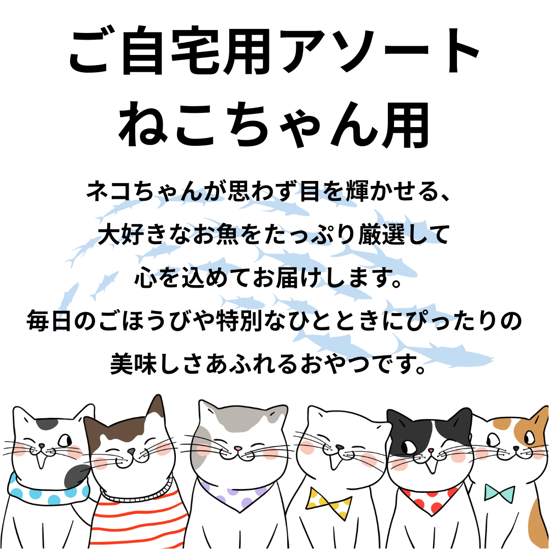 ご自宅用アソートねこちゃん用